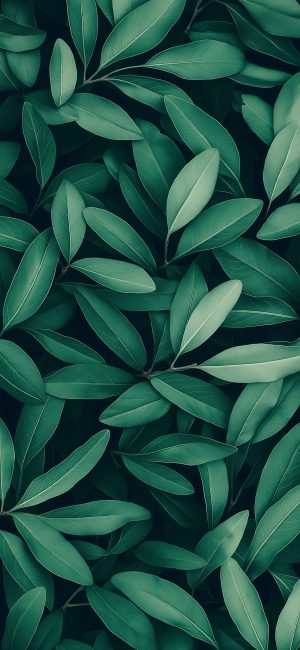 4K Mobile Wallpapers Free Download | 253 | Ultra HD Backgrounds for Android & iPhone