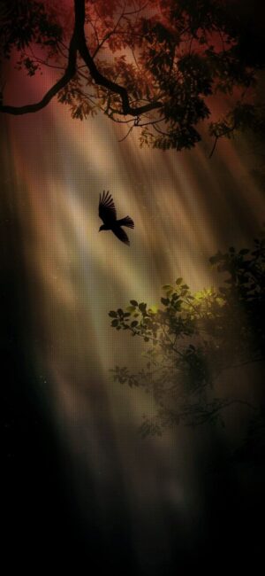 Silhouette of bird in flight over softly lit forest, creating a serene nature scene. Brown, green, black colors | 4K Wallpaper for Mobile