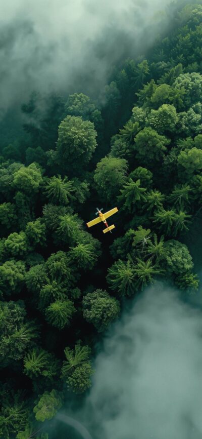 Aerial view of a dense forest with a yellow plane flying above, lush greenery contrasts foggy atmosphere | 4K Wallpaper for Mobile