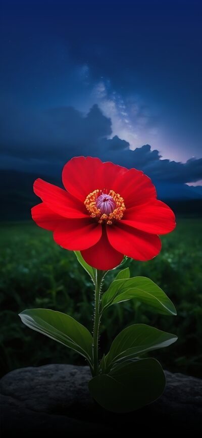 Vibrant red flower on a dramatic night sky with lush greenery and clouds, for mobile | 4K Wallpaper.