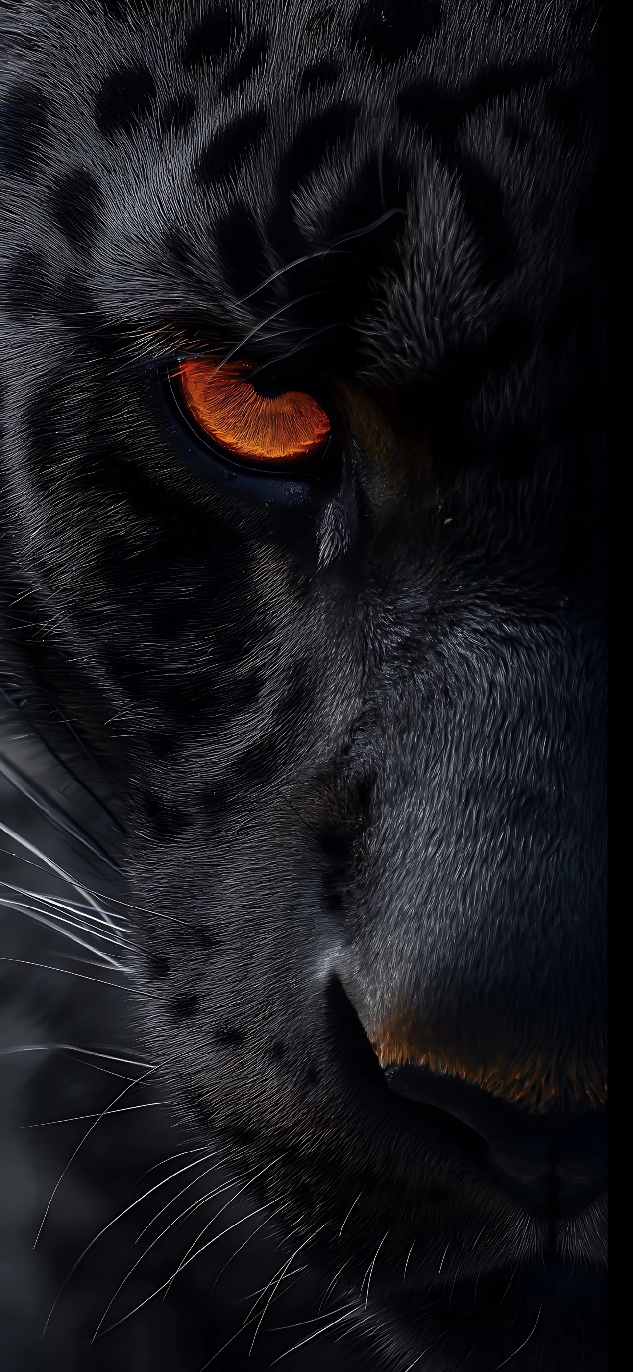 Panther close-up with vivid orange eye and detailed black fur, highlighting its majesty and mystery | 4K Wallpaper, for Mobile