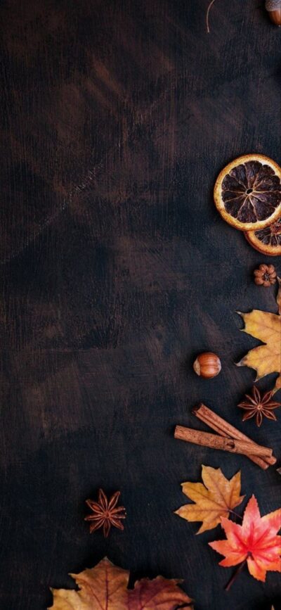 Dark textured wallpaper with autumn leaves, dried oranges, cinnamon sticks, star anise | Brown, Orange | 4K Wallpaper for Mobile