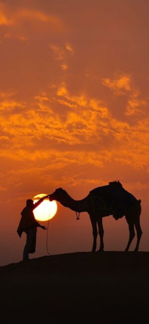 Silhouette of person and camel against vibrant orange sunset in desert | 4K Wallpaper for Mobile