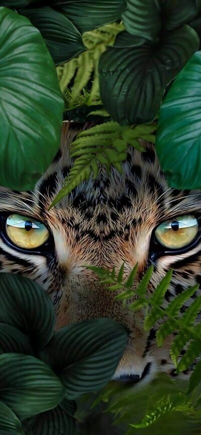 Leopard eyes peek through lush foliage, exuding a wild, mysterious vibe. | 4K Wallpaper, for Mobile | Green, Brown, Yellow accents.