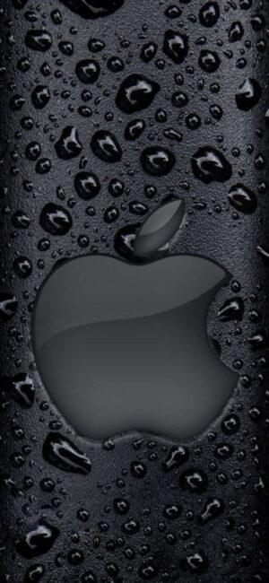 Apple logo on textured black backdrop with realistic water droplets exuding minimalism and elegance | 4K Wallpaper for Mobile