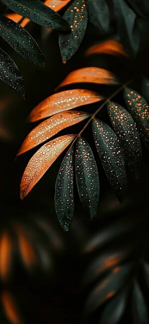 Dew-Covered Leaves 4K Wallpaper for Mobile | Green, Orange, Brown Foliage with Refreshing Texture | Nature, Floral, Abstract