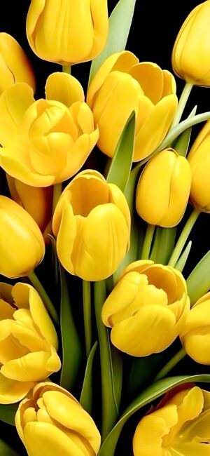 Vibrant yellow tulips with green stems on a black background, perfect for mobile. Stunning contrast in 4K Wallpaper | for Mobile