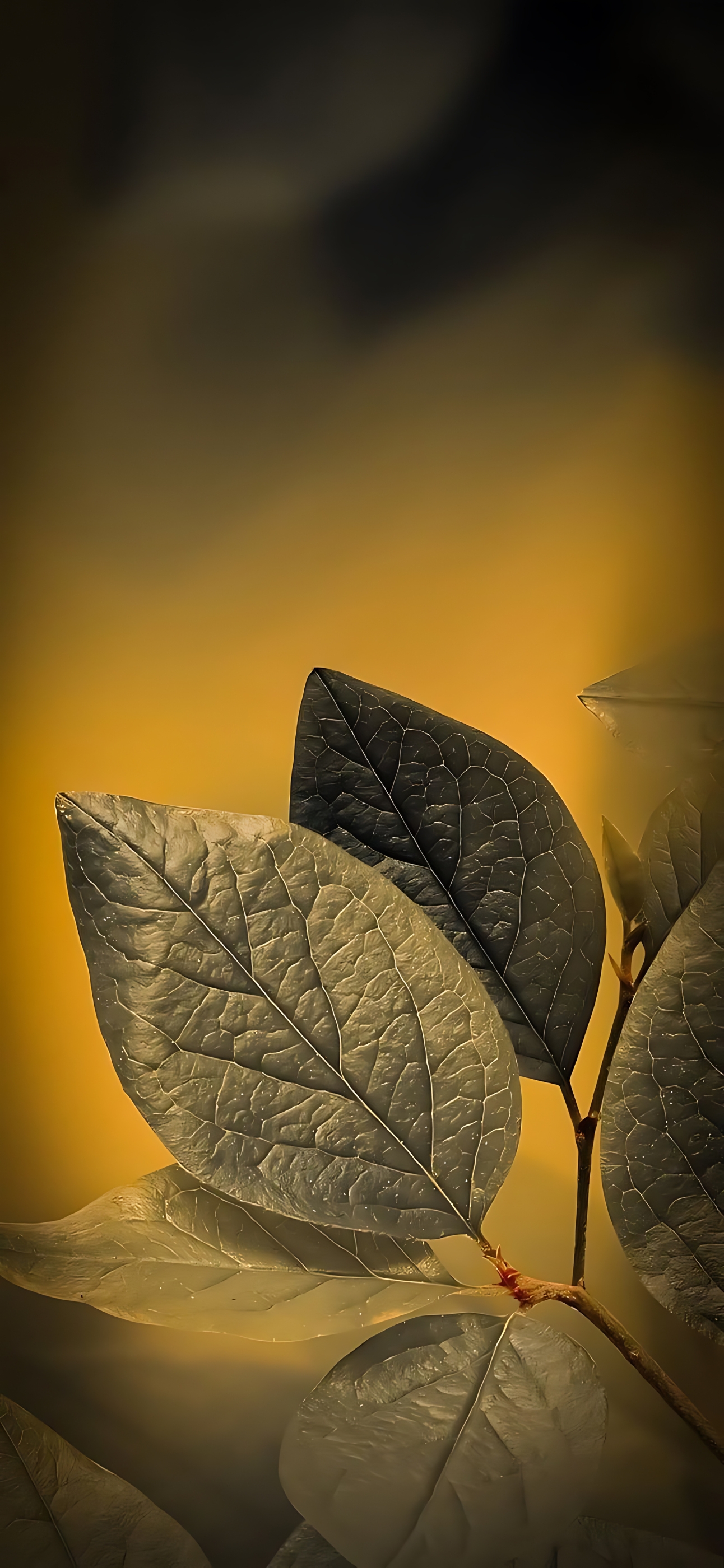 Artistic close-up of green leaves against a yellow-dark gradient background | 4K Wallpaper | for Mobile | Calm and natural aesthetic.