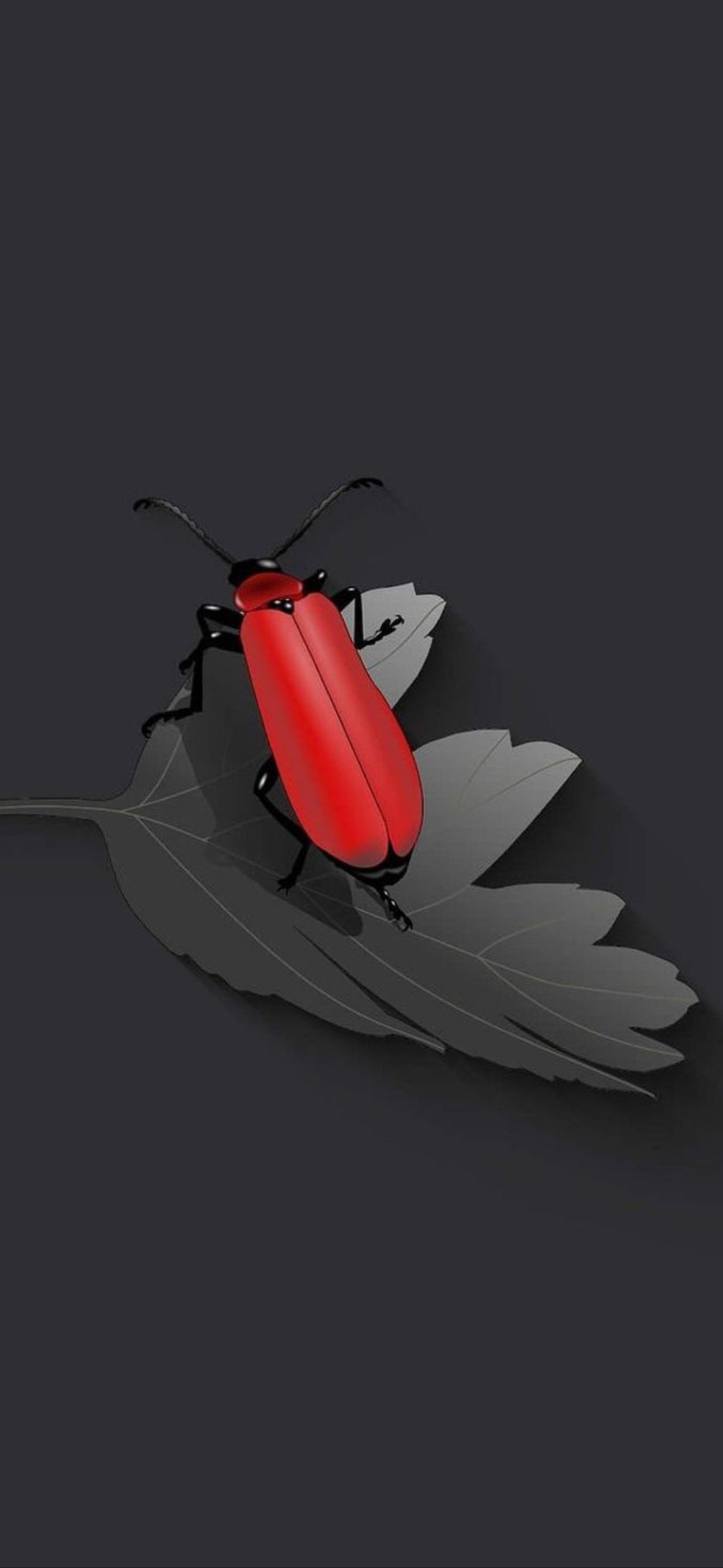 Red beetle on monochrome leaf with dark backdrop, minimalist style | 4K Wallpaper for Mobile