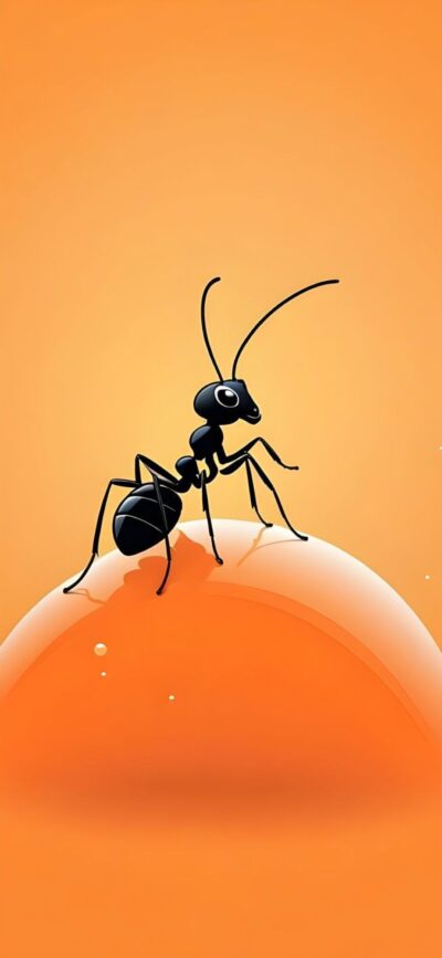 Black ant on glossy orange surface, warm orange background | Minimalist design | 4K Wallpaper | for Mobile