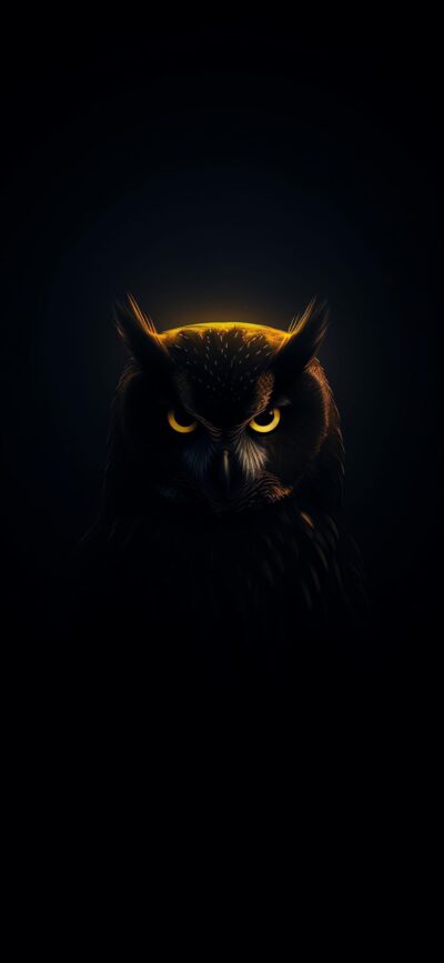 Majestic owl with yellow eyes glowing against a dark background. Ideal for mobile screens | 4K Wallpaper | Black & Yellow palette.