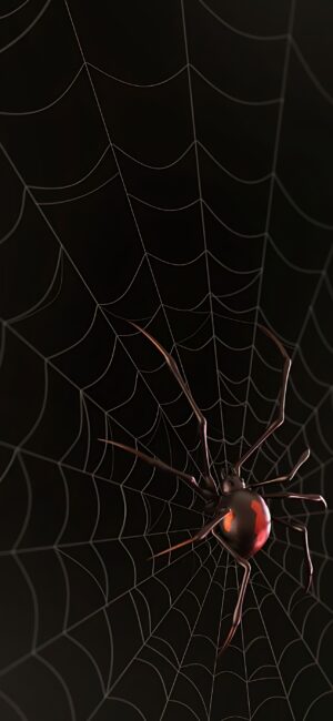 Black widow spider on intricate web, dark background with red accents | 4K Wallpaper for Mobile | Black, Red