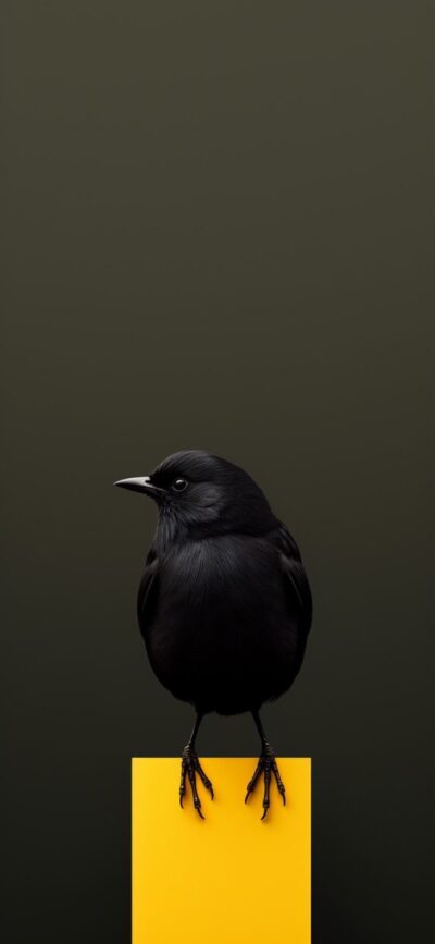 Black bird with glossy feathers on a yellow block, dark olive backdrop, minimalist style | 4K Wallpaper for Mobile