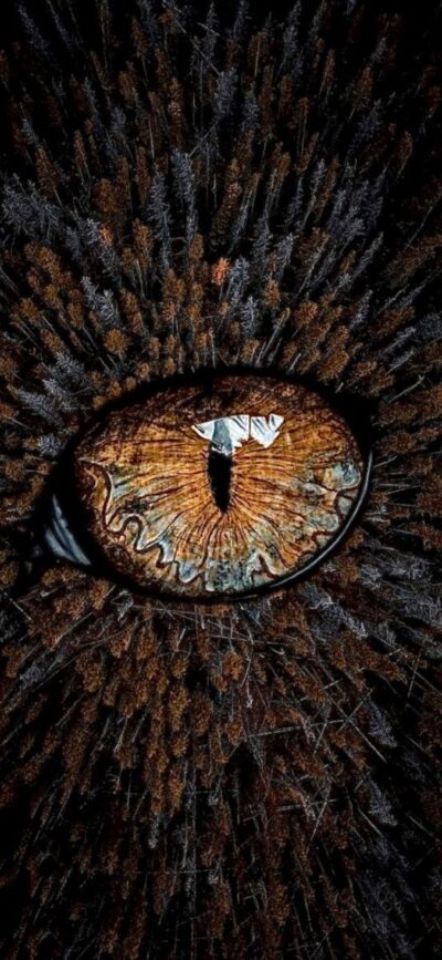 Abstract animal eye with forest elements in brown and black | 4K Wallpaper, for Mobile