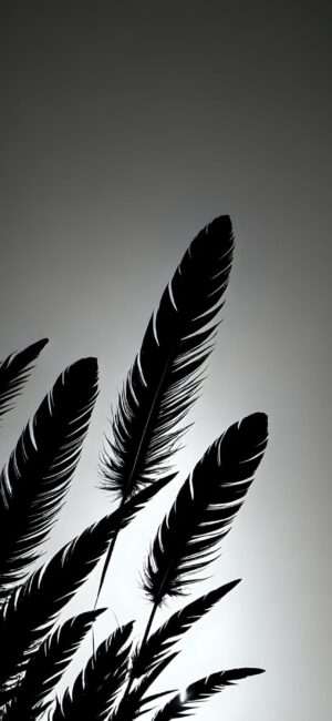 Minimalist monochrome feather silhouette on dark gradient background | Black and Gray | 4K Wallpaper for Mobile