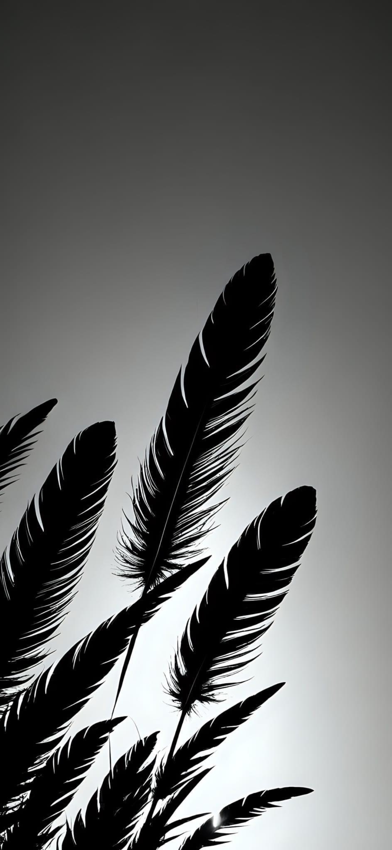 Minimalist monochrome feather silhouette on dark gradient background | Black and Gray | 4K Wallpaper for Mobile