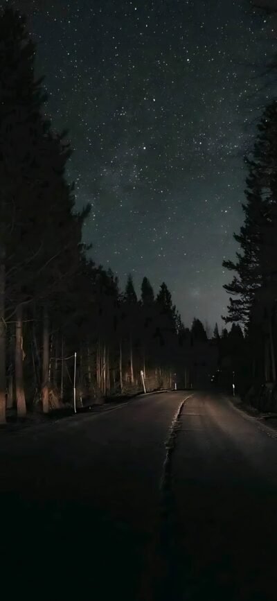 Nighttime road with tall trees, starry sky; black, dark green, and blue tones | 4K Wallpaper, for Mobile