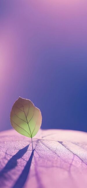 Delicate leaf with ethereal lighting on gradient pink to purple background | 4K Wallpaper for Mobile