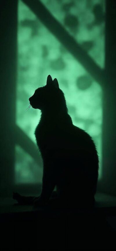 Silhouette of a cat against a softly lit green background, evoking a mysterious and serene vibe for mobile | 4K Wallpaper.