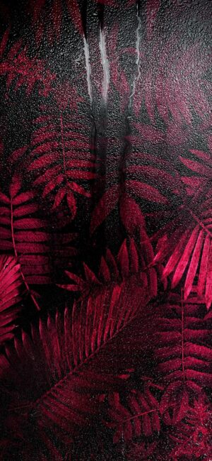 Striking crimson fern leaf pattern on textured black background | 4K Wallpaper for Mobile