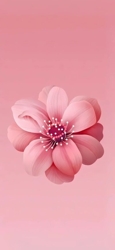 Beautiful pink flower with delicate petals and detailed center on soft pink background | Minimalistic elegance | 4K Wallpaper for Mobile