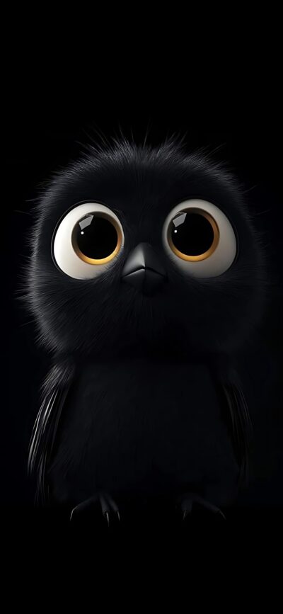 Cute fluffy black bird with big eyes on a dark background | 4K Wallpaper for Mobile | Black, Animal, Cute, Dark Wallpaper