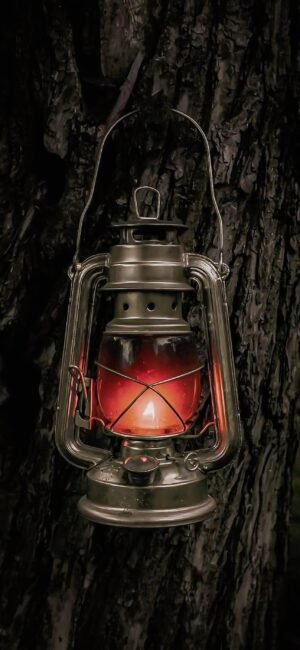 Vintage lantern with warm glow against textured tree bark, rustic and cozy vibe, primary colors: brown, red, black | 4K Wallpaper for Mobile