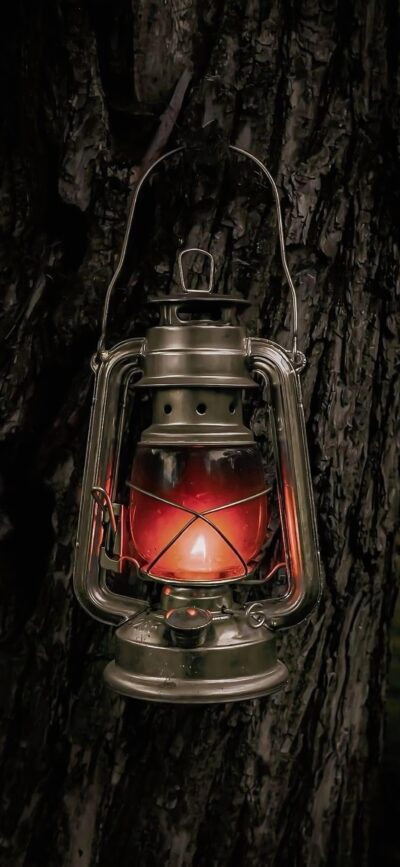 Vintage lantern with warm glow against textured tree bark, rustic and cozy vibe, primary colors: brown, red, black | 4K Wallpaper for Mobile