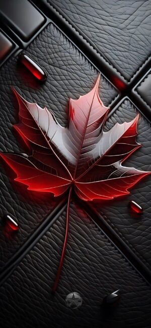 Vivid red maple leaf on textured black leather | Bold visual contrast | Mobile 4K Wallpaper