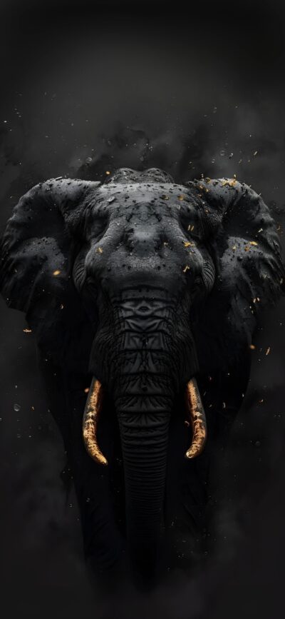 Majestic black elephant with golden tusks on a dark background, perfect for mobile displays | 4K Wallpaper, for Mobile