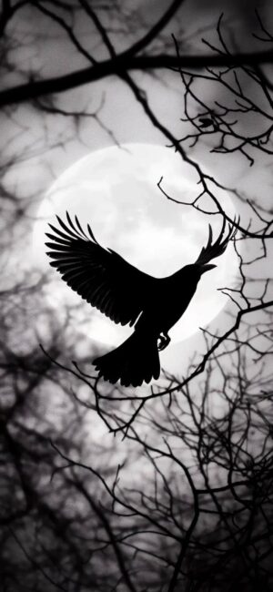 Silhouette of a crow flying against a full moon with bare branches | 4K Wallpaper for Mobile | Black, White, Gray tones.