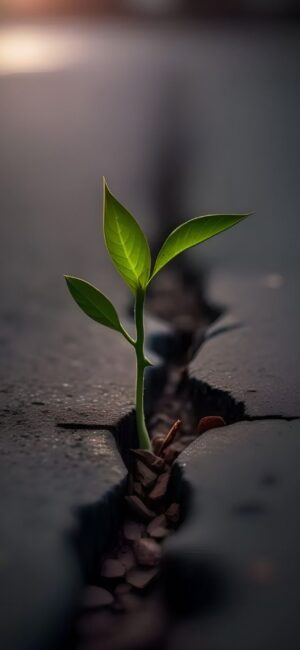 Green plant through cracked pavement, symbolizing resilience surrounded by dark asphalt tones | 4K Wallpaper for Mobile