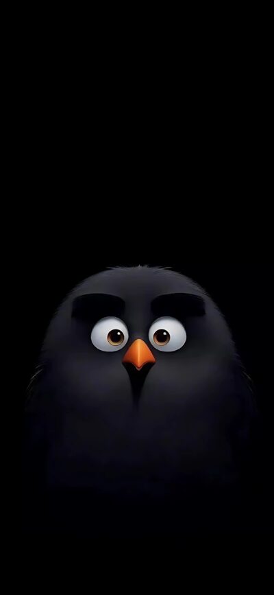 Adorable animated bird with large eyes, small orange beak against a black background, cute and surprised expression | 4K Wallpaper for Mobile