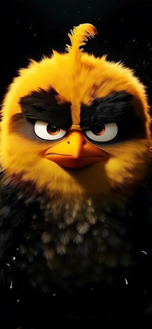 Angry Birds character with vibrant feathers and determined expression on a dark background | Yellow, Black, Orange | 4K Wallpaper for Mobile