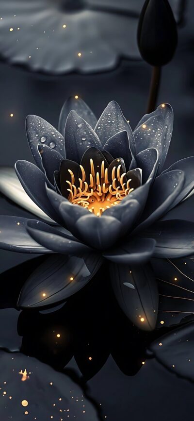 Dark lotus flower with glowing orbs and dewdrop petals, illuminated center, black, grey, gold | 4K Wallpaper for Mobile