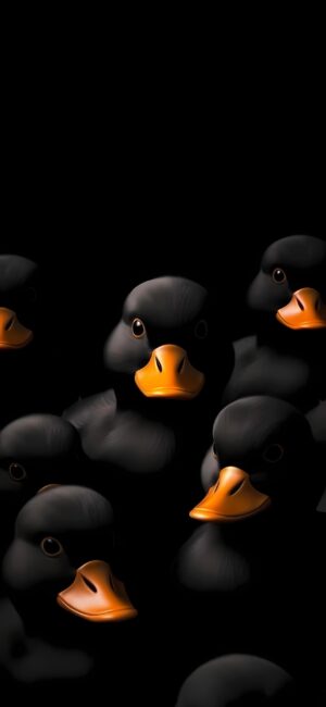 Animated black ducks with bright orange beaks on a dark background, emphasizing expressive eyes and contrast | 4K Wallpaper for Mobile