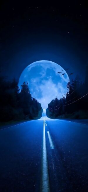 Serene night scene wallpaper for mobile featuring a full moon over a tree-lined road with silhouetted birds | 4K Wallpaper.