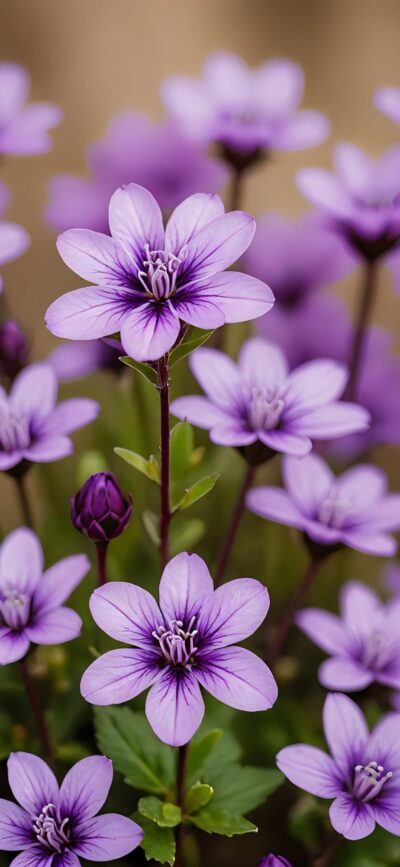 Purple flowers in full bloom with green leaves, creating a vibrant, serene scene | 4K Wallpaper for Mobile | Purple, Green