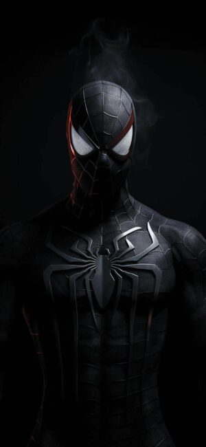 Spider-Man in a black suit with detailed web patterns and large white eyes in dim lighting | 4K Wallpaper for Mobile