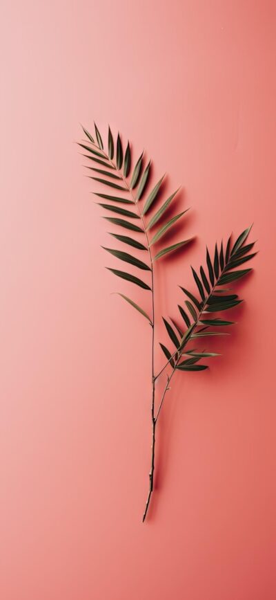 Delicate branch on coral background; minimalistic, calming elegance | 4K Wallpaper, for Mobile | Coral & green palette.