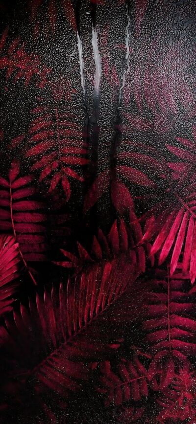 Red Fern Leaves on Black Background | Dark Botanical Theme | Dramatic Contrast | 4K Wallpaper for Mobile