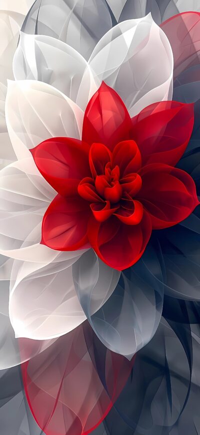 Stunning floral wallpaper with a central red flower, surrounded by translucent white and gray petals | 4K Wallpaper for Mobile