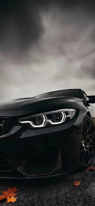 Black BMW car against cloudy sky with fallen leaves, showcasing sleek design and luxury | 4K Wallpaper, for Mobile