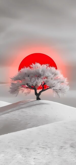 A solitary white tree on a snowy hill with a vibrant red sun in the background, creating a serene scene | 4K Wallpaper for Mobile