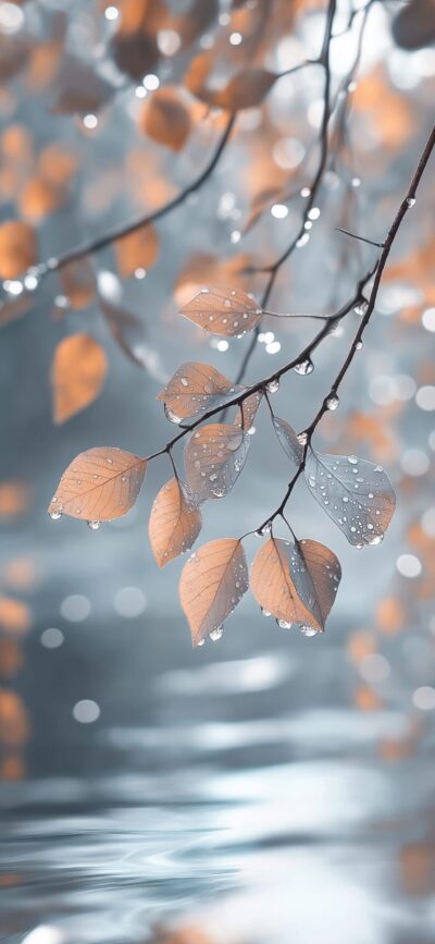 Serene leaves with dew over calm water, dreamy focus. Blue, peach, gray hues | 4K Wallpaper for Mobile