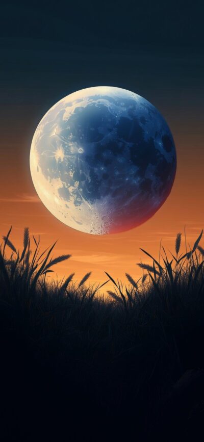 Serene moonlit night with twilight gradient and grass silhouettes, blending nature and space themes | 4K Wallpaper for Mobile