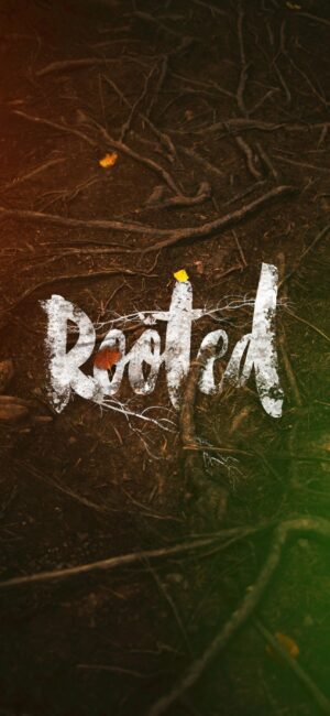 "Rooted" stylized font on earthy root background, organic theme with brown, green, orange hues | 4K Wallpaper for Mobile