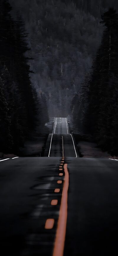 A winding dark road with shadowy trees leading into a misty horizon; orange centerline contrasts for a mysterious vibe. | 4K Wallpaper for Mobile