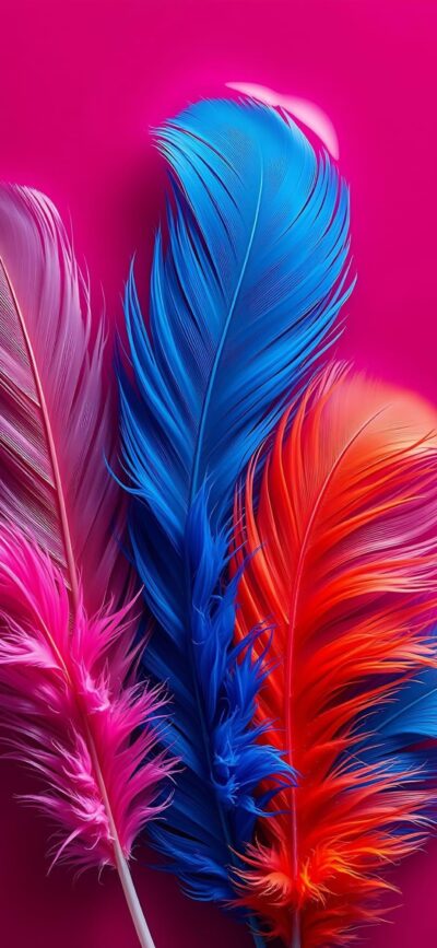 Colorful feathers on magenta background, featuring blue, red, orange, and pink. Dynamic artistic composition for mobile | 4K Wallpaper