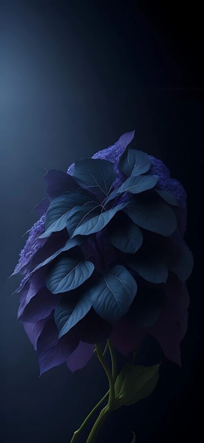 Beautifully lit flower with purple and dark leaves on a deep blue backdrop, evoking mystery and elegance | 4K Wallpaper for Mobile